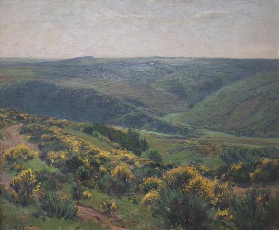 F. V. Wille, oil on canvas, heathland landscape, signed and dated 04 51 x 60cm